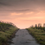 Follow the Road Picture