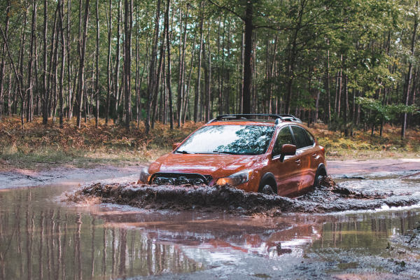 Picture of Subaru stick in the mud