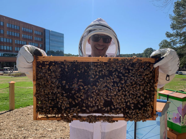 Picture of Nick Accordino in a bee suit